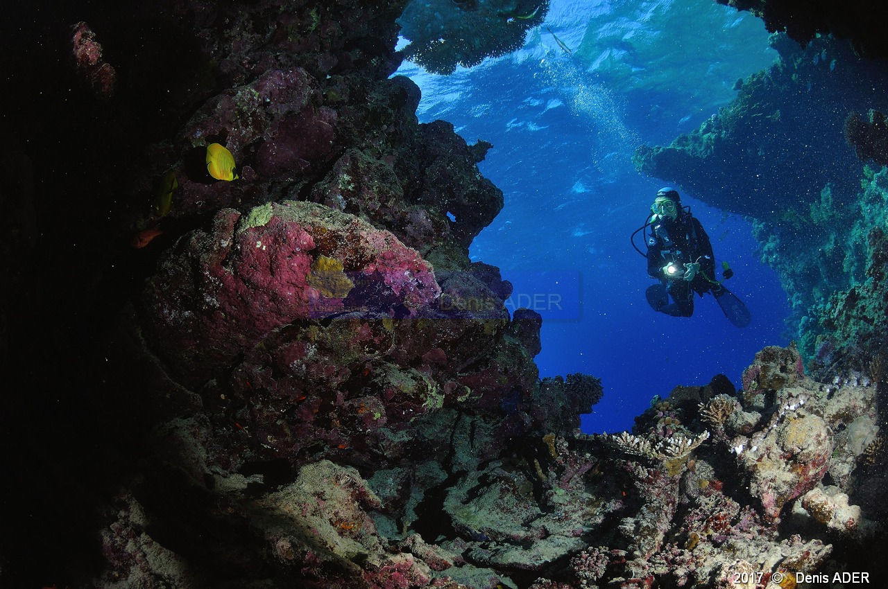 Catherine Ambiance-Safaga Panomara Reef Sud-19m-20171123-Denis-ADER-DSC_3560_tn.jpg